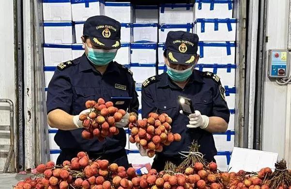 中国荔枝主产区减产大量越南荔枝进口上市